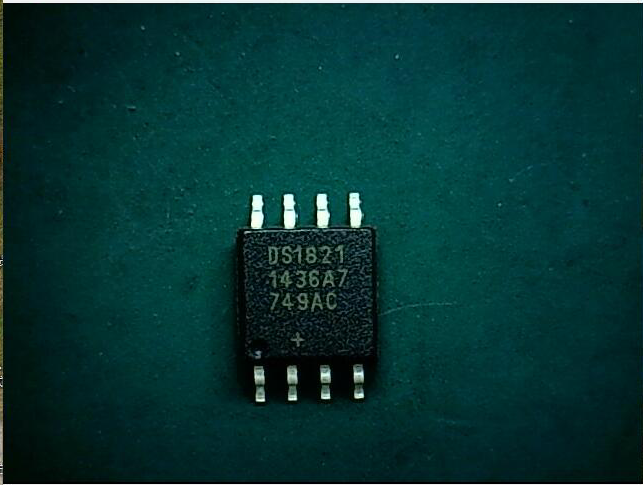 DS1821+